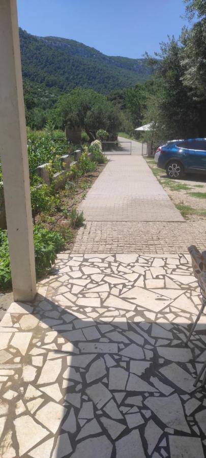 Apartmani Maslina Žuljana Екстериор снимка
